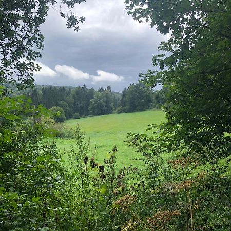 Ferienwohnung Waldruhe Hessisch Oldendorf Luaran gambar