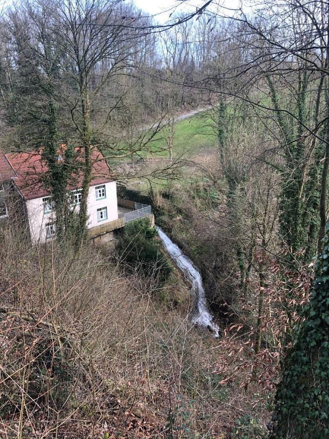 Ferienwohnung Waldruhe Hessisch Oldendorf Luaran gambar